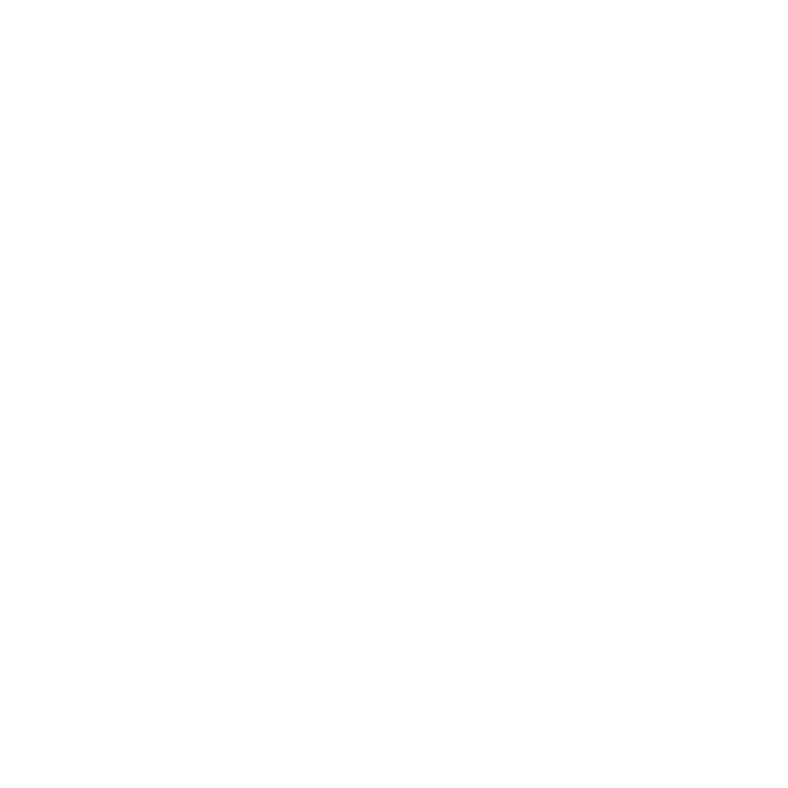 Logo efim